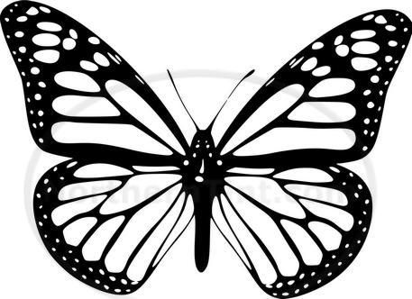 Tribal Butterfly Car Decal Window Sticker Wall Art #183  