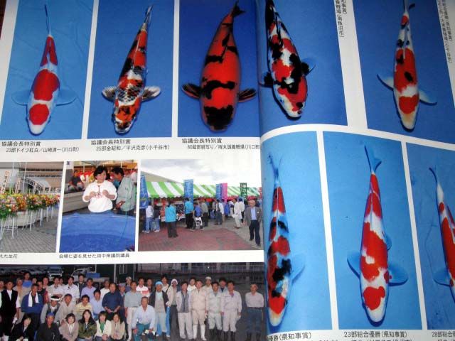 Fish Book Japanese Koi Display and Catalogue 0612  