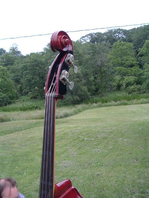 Scherl & Roth Laminated Double Bass Upright Viol No 65  