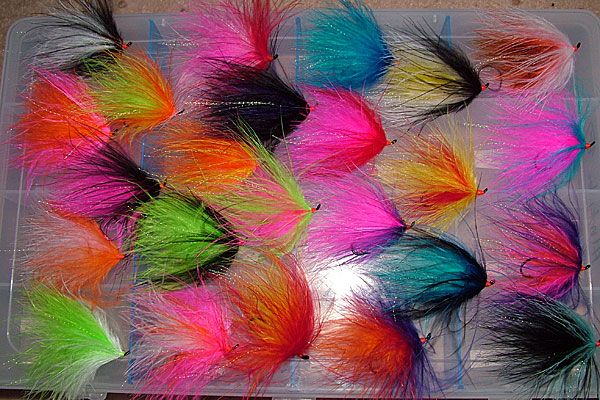 Alaskabou Flies 24 Fly Steelhead Salmon FREE SHIP*  