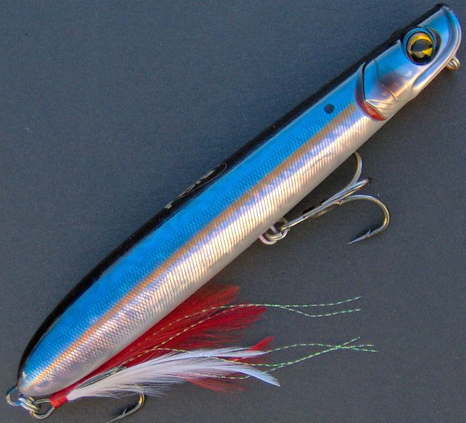 ima Big Stik ~ Topwater Pencil Popper ~ American Shad  