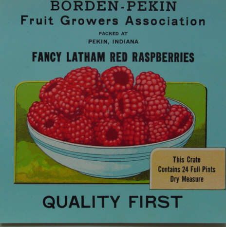 Borden Vintage Berry Crate Label Pekin, Indiana  