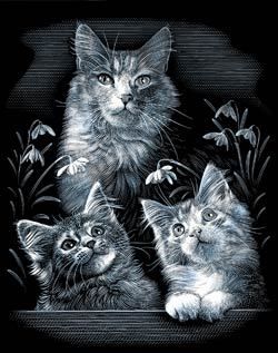 SCRAPERFOIL Engrave Art Kit   CUTE KITTENS   Engraving  