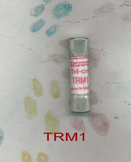 SHAWMUT TRM 1 FUSE TRM 1 TRI ONIC 250 VOLT 1 AMP  