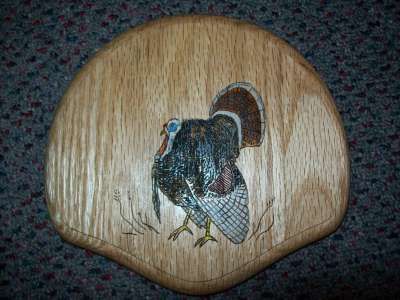 TURKEY TAIL MOUNT PANEL COLORED STRUTTING TOM W/STATE  