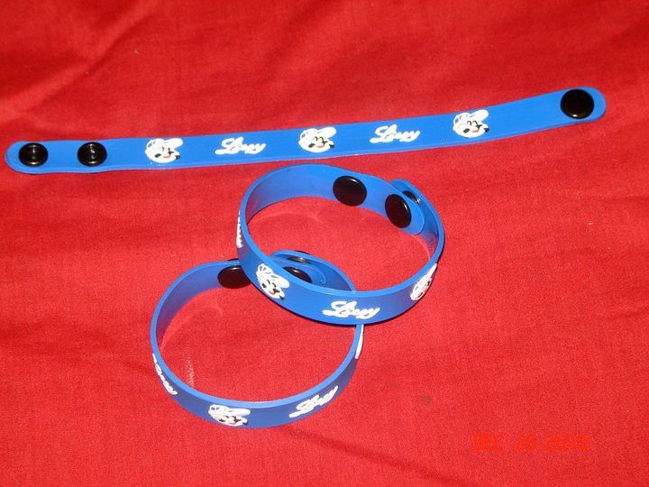 Tigres del Licey Brazalete, dominican baseball, azul, New  