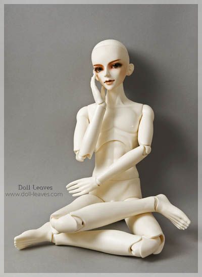 B60b 01 Doll Leaves 1/3 male BODY SUPER DOLLFIE size bjd SD Ball 