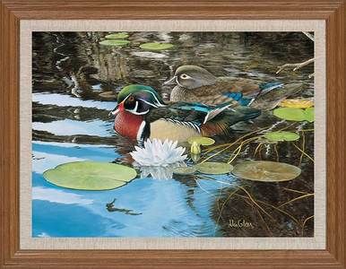 REFLECTIONS OF SPRING   WOOD DUCKS by Ron Van Gilder  