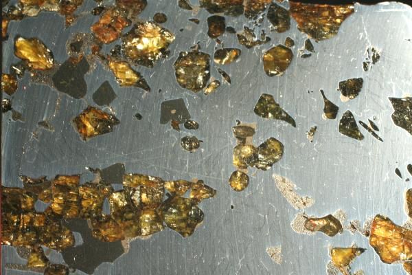 METEORITE PALLASITE SEYMCHAN PERFECT ETCHED SLICE 77g  