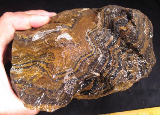 rm69   OLD STOCK   Stromatolite Jasper   Bolivia 10.6 lbs #375  