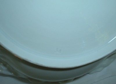 RS Prussia Deep Bowl~Floral Theme~Mold 34~Excellent Condition  