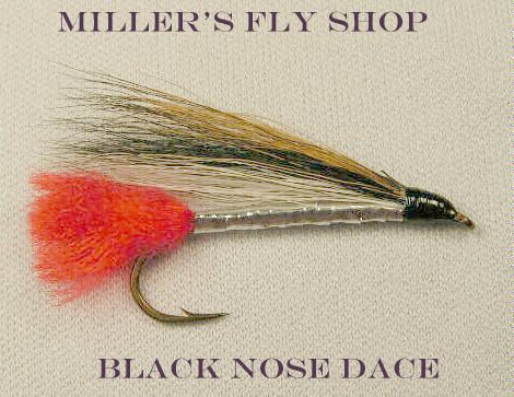 Black Nose Dace Streamer #10  