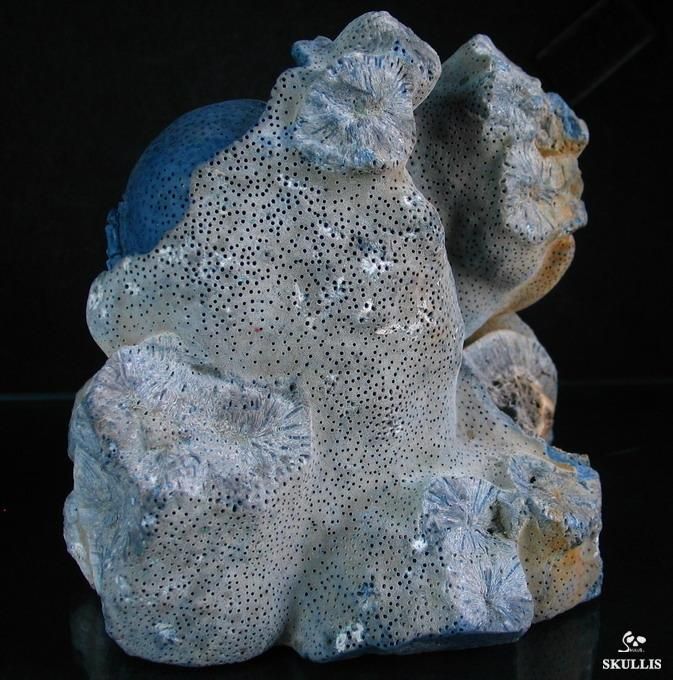 Blue Sponge Coral Skull Sculpture LOVE NEVER DIES  