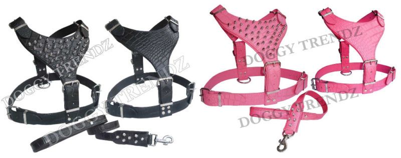 LEATHER DOG HARNESS LEAD SET ROTTWEILER, MASSTIFF  