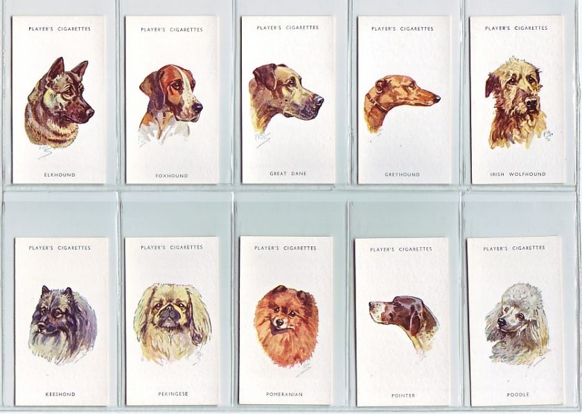 Complete Set of 50 Dogs Paintings Cards from 1940  