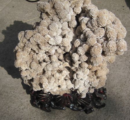 20.4lb FLOWER LIKE DESERT ROSE    BARITE SPECIMEN Huge  