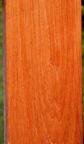 EXOTIC SPANISH CEDAR 36 x 5 x 1 ~ WOOD LUMBER 8836  