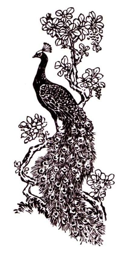 Peacock Mounted rubber stamp, small #20  