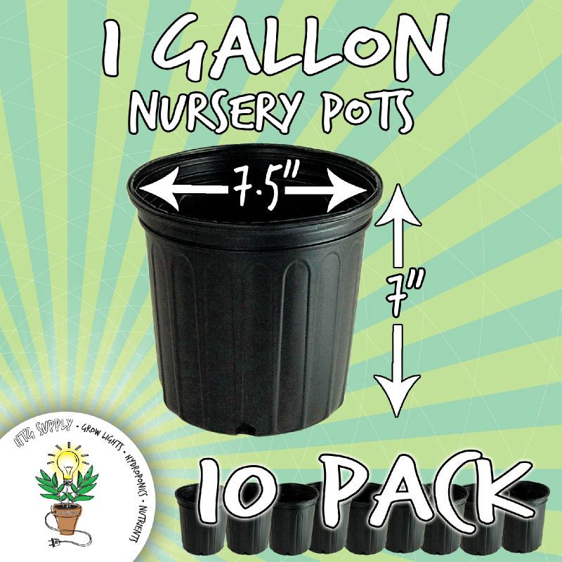 Gallon Nursery Pot