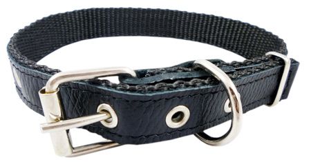 Black Leather Nylon Padded Dog Collar 16 20 1 Medium  