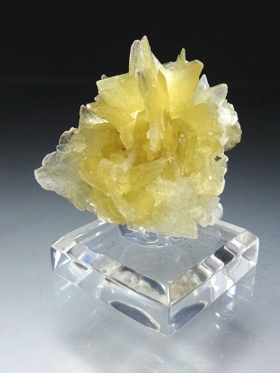 Yellow Star Muscovite Crystal Cluster #14  